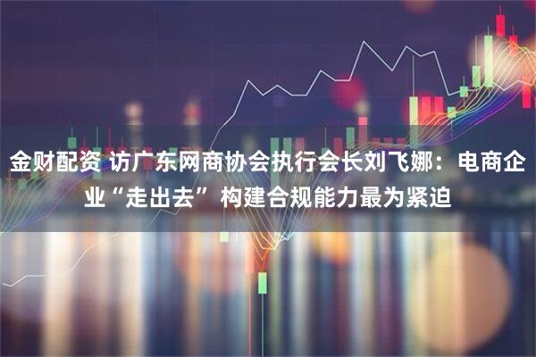 金财配资 访广东网商协会执行会长刘飞娜：电商企业“走出去” 构建合规能力最为紧迫